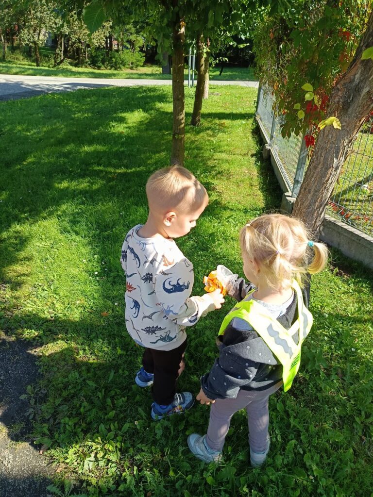 Sprzątanie Świata